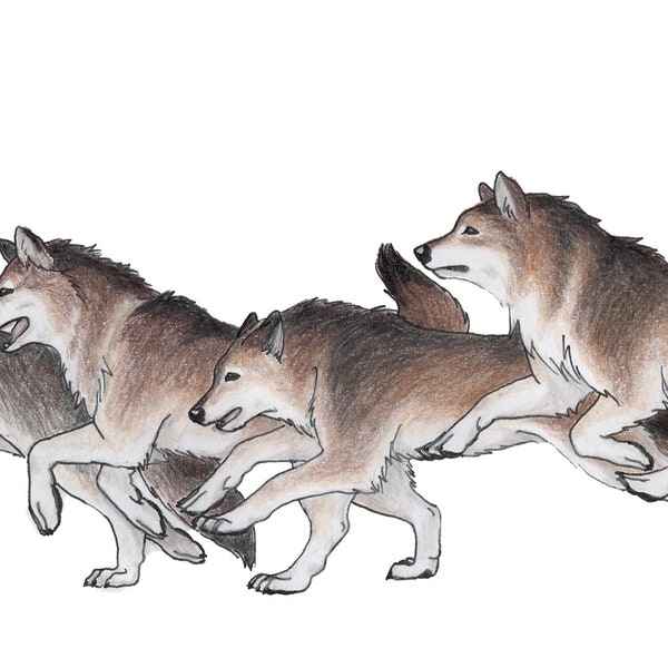 Running Wolf Pack Sticker