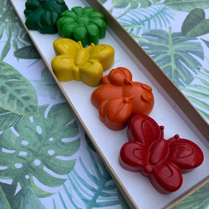 Rainbow Garden Bugs 6 pieces Set | Kids Birthday Gift | gift | Kids gift | Party Favor | Christmas gift | Butterfly gift | Stocking Stuffers