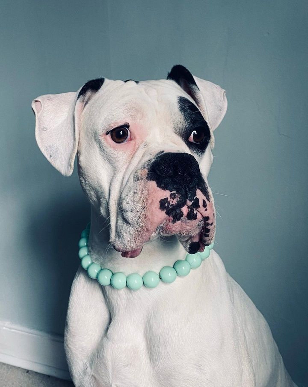 Mint Green Beaded Dog Necklace for Dogs, Summer Dog Collar Girl Dog