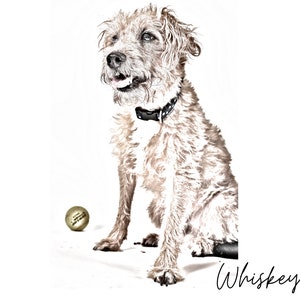 Boceto personalizado Retrato de mascota, Retrato de mascota, Retrato de perro personalizado, Ilustración de mascotas, Regalo para amantes de mascotas, Impresión de arte para mascotas, Memorial para mascotas