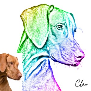 Custom Abstract Pet Portrait, Pet Portrait, Custom Dog Portrait, Pet Illustration, Pet Lover Gift, Pet Art Print, Pet Memorial
