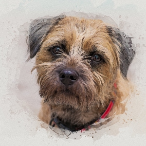 Border Terrier Dog Wall Art, Watercolour Print, Dog Lover Gift, Dog print, Dog Art Print, Canvas