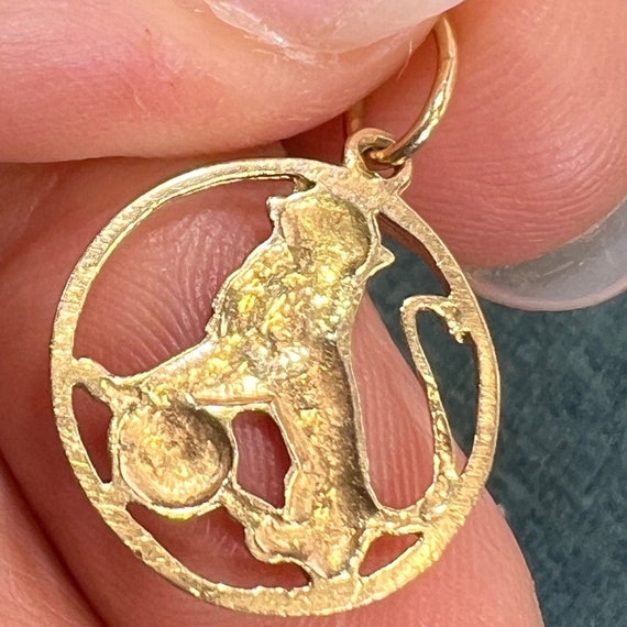 14k Yellow Gold Regal LION Leo Circle Pendant. An… - image 2