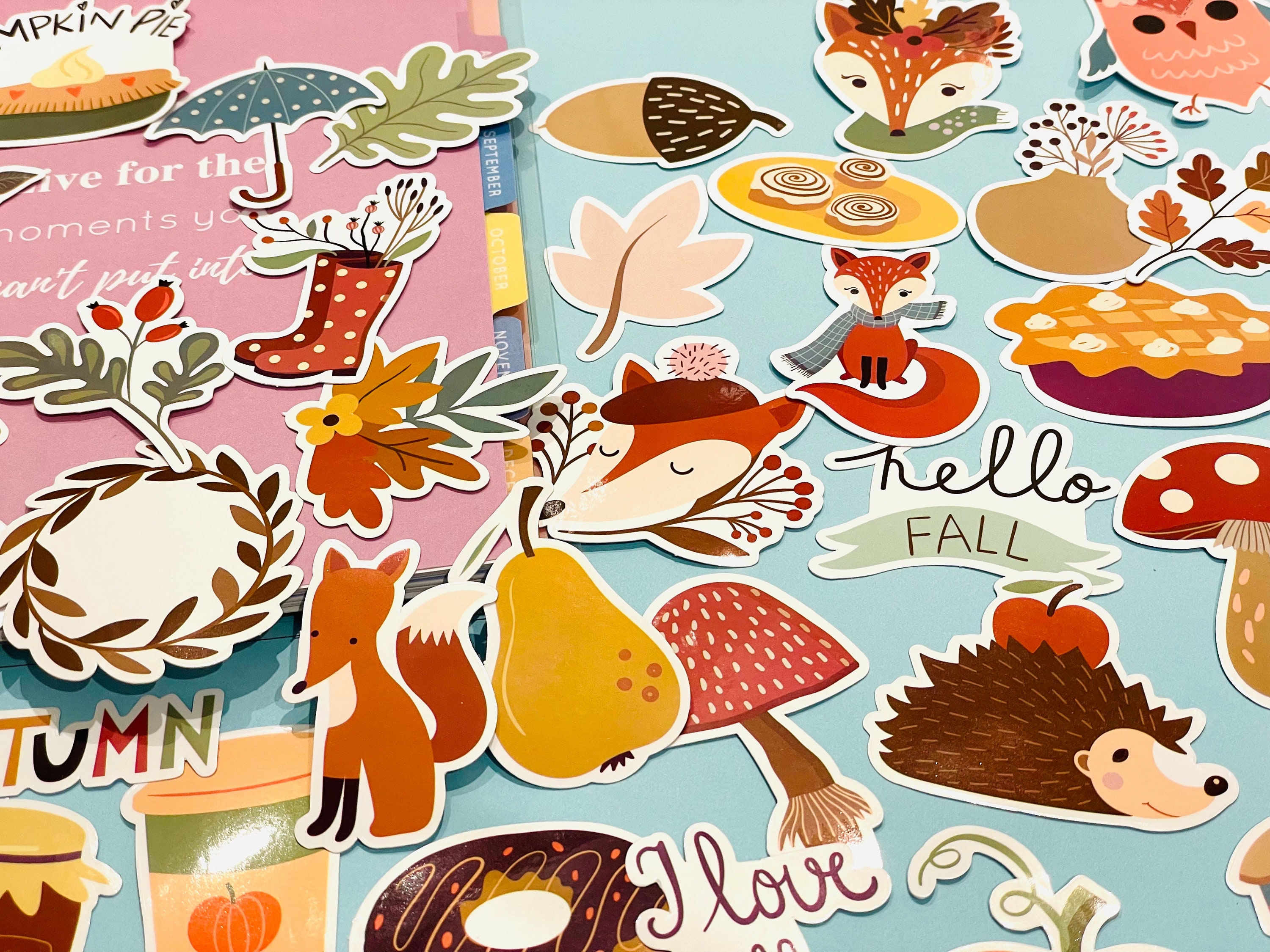 50pcs Cute Animal Vinyl Decal Stickers Fox Hedgehogs Woodland Sticker ...