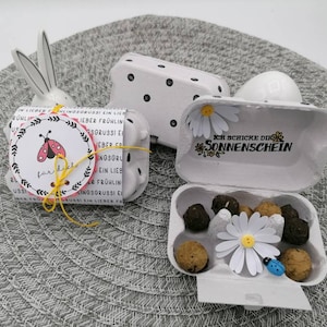 Kleines Geschenk, Gastgeschenk,Wachteleikarton, Samenbomben,Geburtstagsgeschenk,Mitbringsel,Geldgeschenk,Kleinigkeit,Kollegen, Mitgebsel Frühlingsgruß