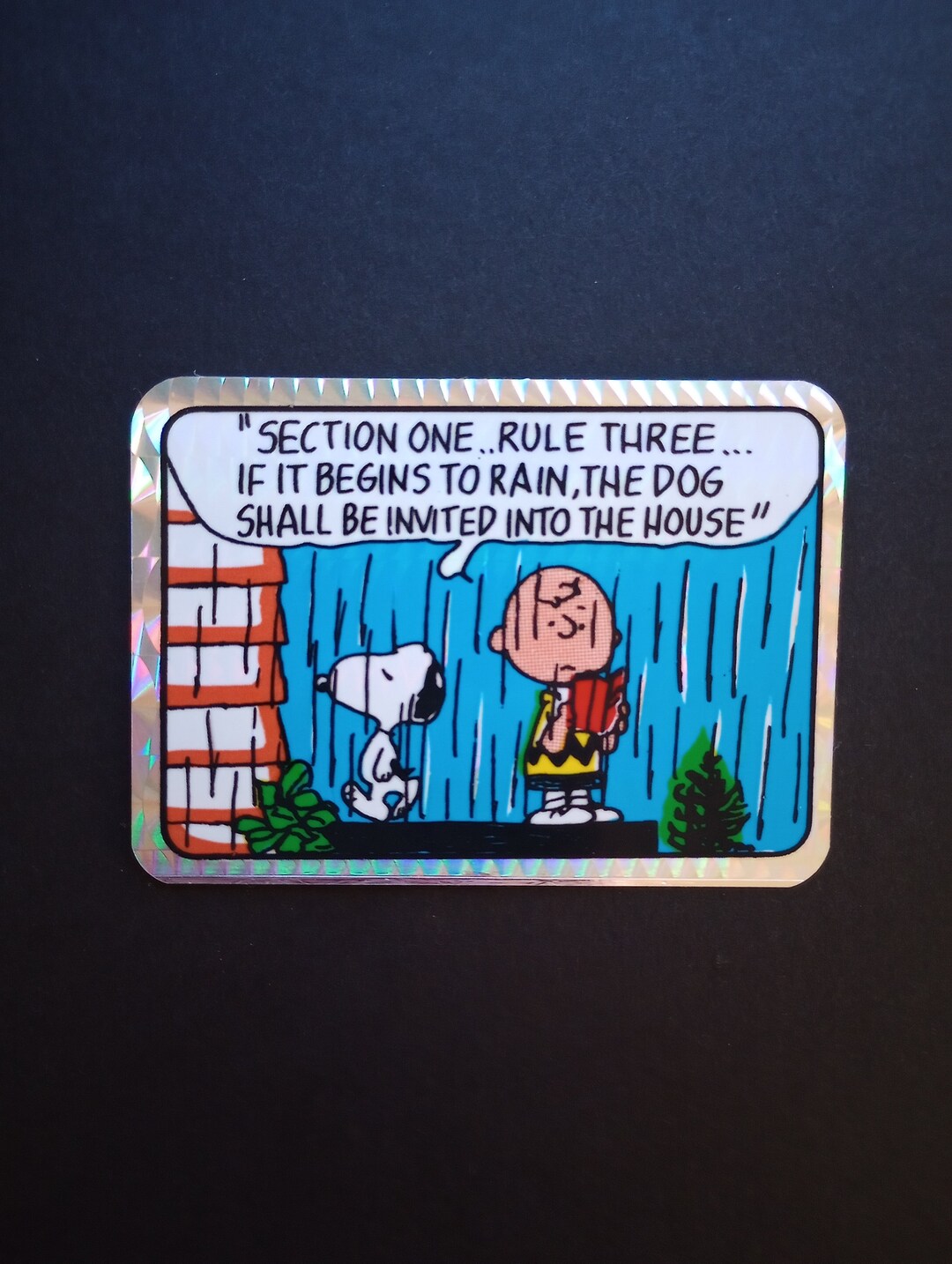 Vintage Charlie Brown and Snoopy in the Rain Peanuts Prism Vending ...