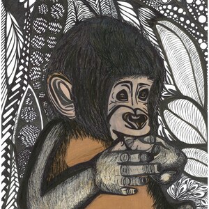 Baby Monkey