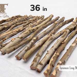May include: A collection of natural sycamore sticks, each measuring 36 inches in length. The sticks feature a mottled bark pattern with shades of light brown, tan, and grey. The image includes the text Fairie Gifts, 36 in, and Sycamore Long Sticks.