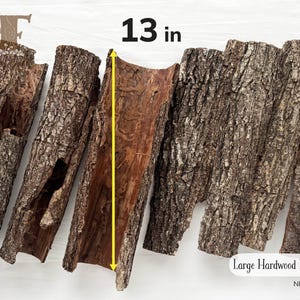 May include: Several pieces of large hardwood bark, each with a unique, textured surface. The longest piece measures 13 inches. The bark is a mix of brown and gray tones, with a rough, natural appearance. The text "Large Hardwood Bark" is visible.