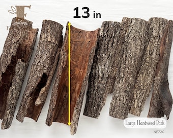 Hardwood Bark 13 in, Bark Flats from Bradford Pear 1 to 4 ct, Thick Curvy Bark, Rustic Bark Slabs for Crafts