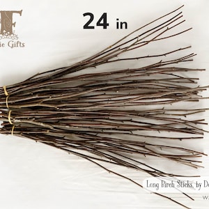 Red Birch Sticks 24 in. long, Thin Wood Sticks 12 ct, Dried Wooden Sticks, Birch Twigs, Rustic Sticks, Wood Decoration Supply