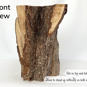SCRAP Wood Slab, Seconds Wood for Crafts, Decorative Hardwood, Natural Tree Supply, Rustic Wood Stump, Sturdy Wood, Bark Log image 6