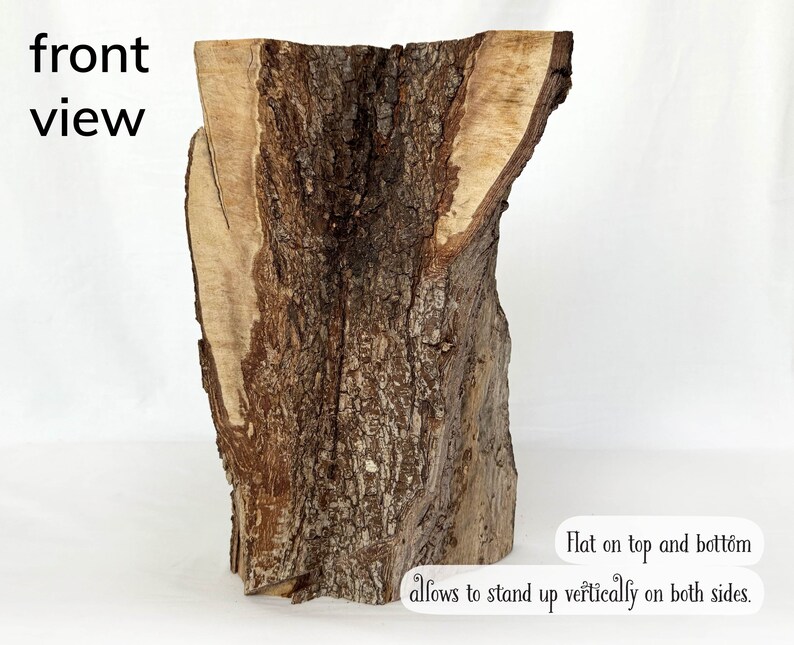 SCRAP Wood Slab, Seconds Wood for Crafts, Decorative Hardwood, Natural Tree Supply, Rustic Wood Stump, Sturdy Wood, Bark Log image 6