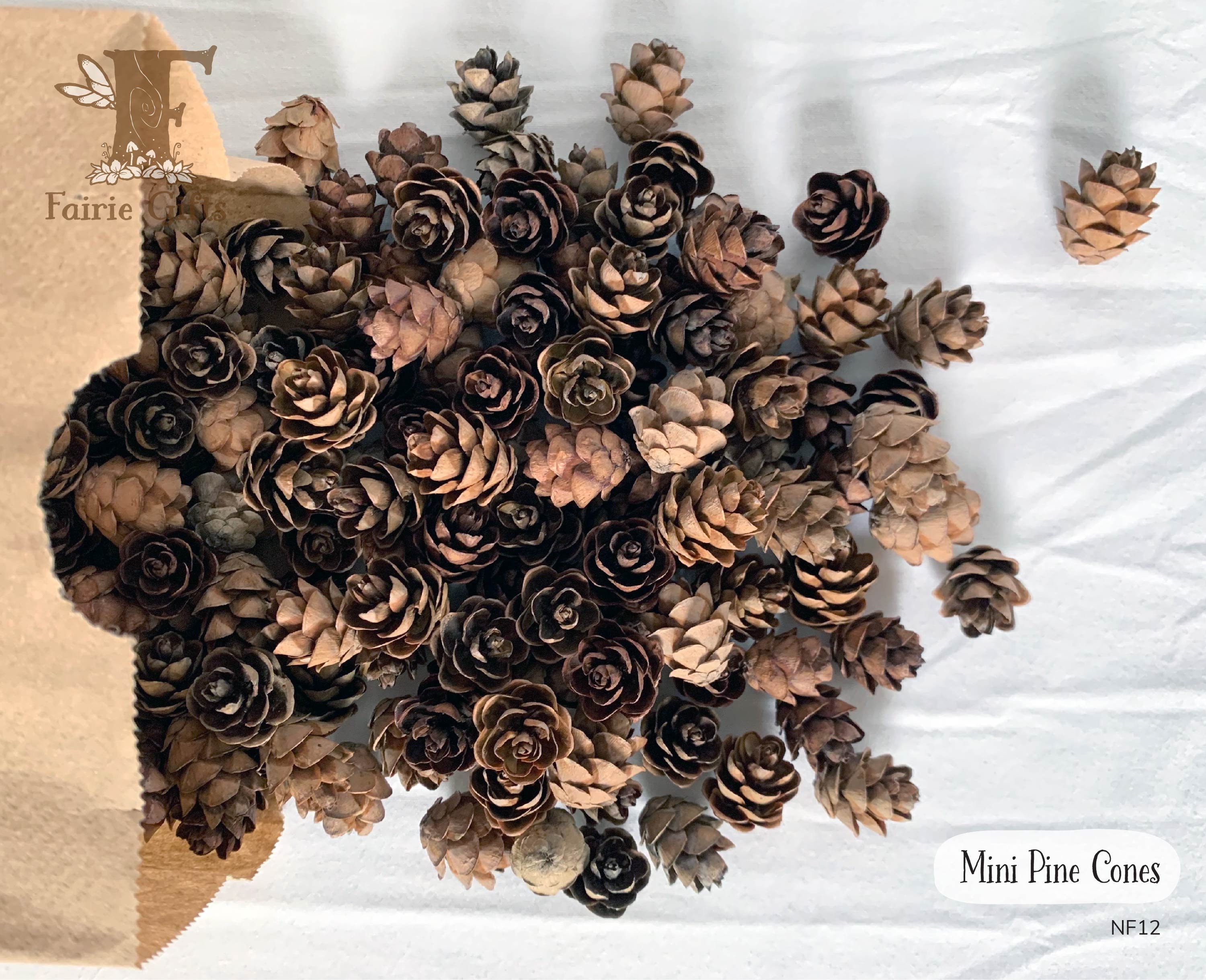 2 Sizes Rustic and Realistic Snow Covered Frosty Faux Pinecone Picks Size  Large or Small 