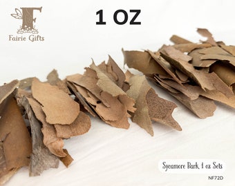 Sycamore Bark 1 oz, Natural Tree Bark, Curly Bark Pieces, Forest Craft, Rustic Decoration, Small Thin Bark Strips, Fairy House Supply