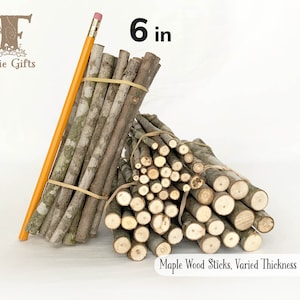 Wood Sticks 6 in, Maple Branches, Dried Wooden Sticks, StemSupply, Varied Thickness Stick Bundles, Pumpkin Stick