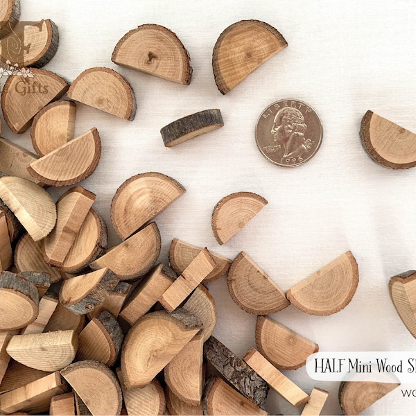 HALF Miniature Wood Rounds from Mixed Woods, Fairy Wood Disk, Bulk Wood Pieces, Half Wood Circle, Wooden Halves Shape, Rustic Craft Supply
