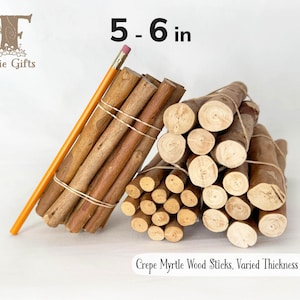 Wood Sticks 6 in, Crepe Myrtle Sticks, Hardwood Branches, Rustic Wood Supply, Varied Thickness Sticks, Wooden Stick Bundles, Pumpkin Stick