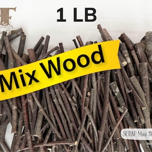 SCRAP Mini Wood Sticks 1 lb, Seconds Wooden Twigs in Assorted Sizes, Mixed Branches, Mini Sticks Bundle, Pumpkin Sticks, Craft Stems