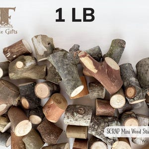 May include: A collection of small, natural wood stumps with varying bark textures and light brown cross-sections. The image includes the text 1 LB and SCRAP Mini Wood Stumps WG140A. These pieces are irregular in shape and size, showcasing raw wood.