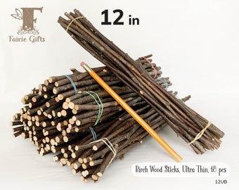 Ultra Thin Wood Sticks 12 in, Red Birch Branches 18 ct, Dried Wooden Sticks, Twig Bundle, Craft Branches, Rustic Sticks, Natural Wood Supply