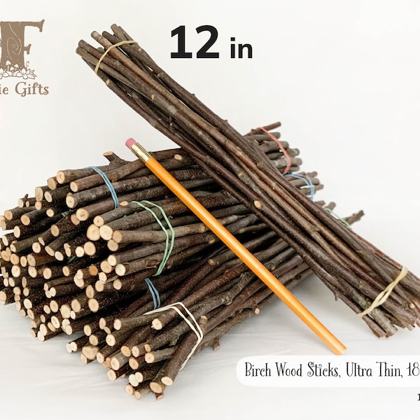 Ultra Thin Wood Sticks 12 in, Red Birch Branches 18 ct, Dried Wooden Sticks, Twig Bundle, Craft Branches, Rustic Sticks, Natural Wood Supply