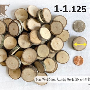 Tree Branch Slices 1 in., Small Wooden Circle, Assorted Wood Slices, Bulk Wood Slices, Mini Wooden Rounds, Tiny Wooden Slices for Crafting