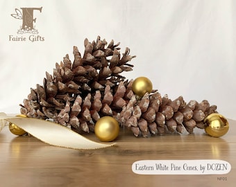 Pine Cones by DOZEN,  4” to 6” Eastern White Pine Cones in Assorted Sizes, Cones for Crafting, Christmas Decoration