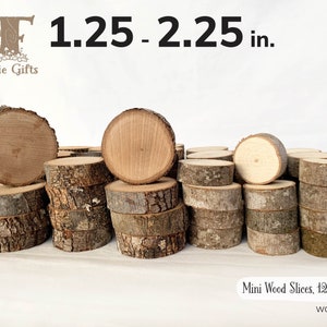 12 Wooden Slices, 2 2.1 5 5.4 Cm Tree Slices, Small Wood Slices for Crafts,  Craft Branch Slices 