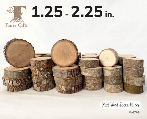 Tree Slices 12 Ct, Mini Wooden Circles 1.25 2.25 In, Small Wood Slices,  Bulk Wood Slices, Rustic Wooden Circles for Crafts 