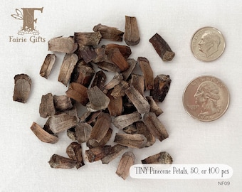 TINY Pinecone Petals, 50 or 100 ct, Flat Cut Pine Cone Scales for Crafting, Dried Mini Pinecone Petals from Mixed Species, Natural Confetti