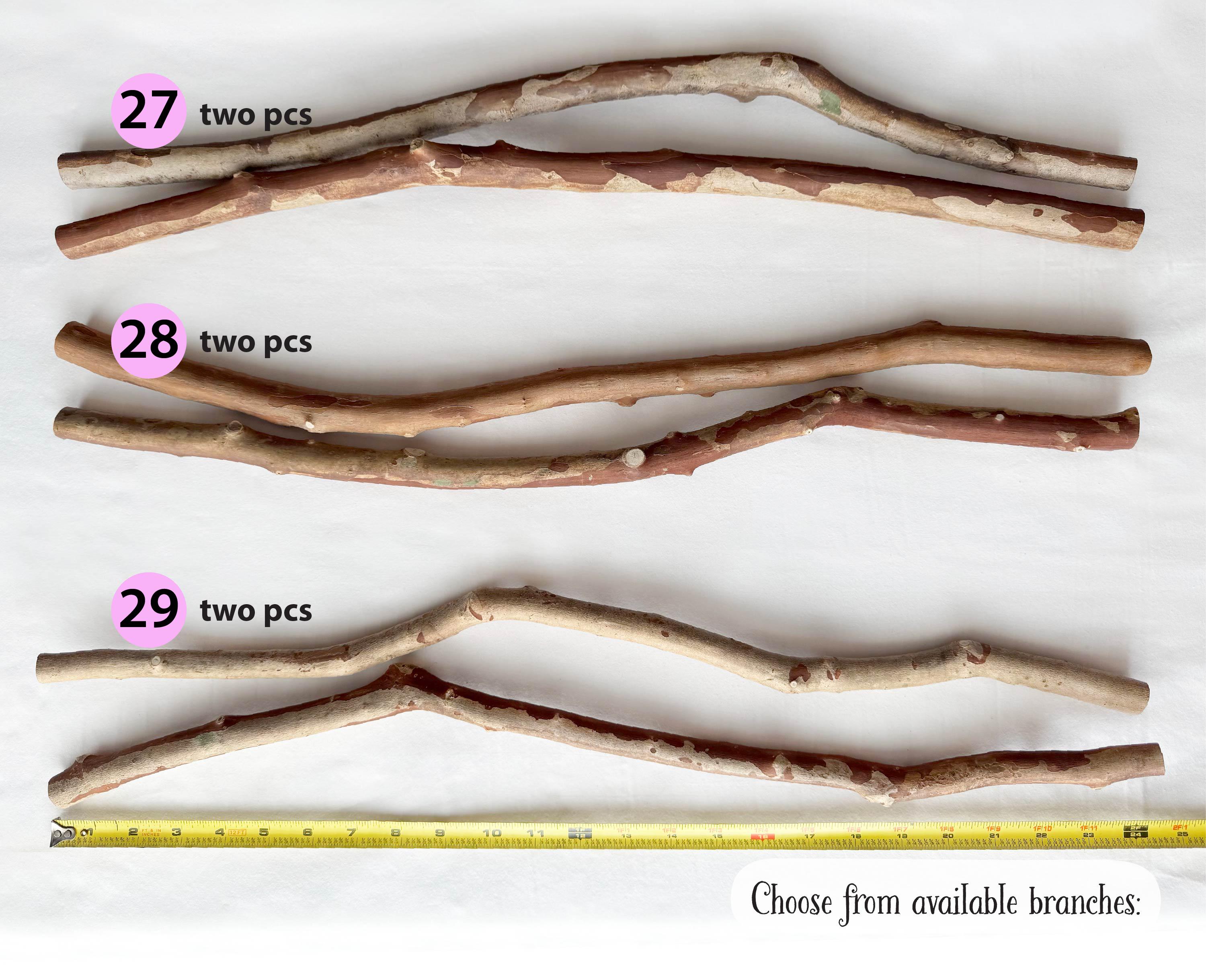 Hardwood Sticks 2 Ft, Crepe Myrtle Branches, Wall Hangings, Macrame ...