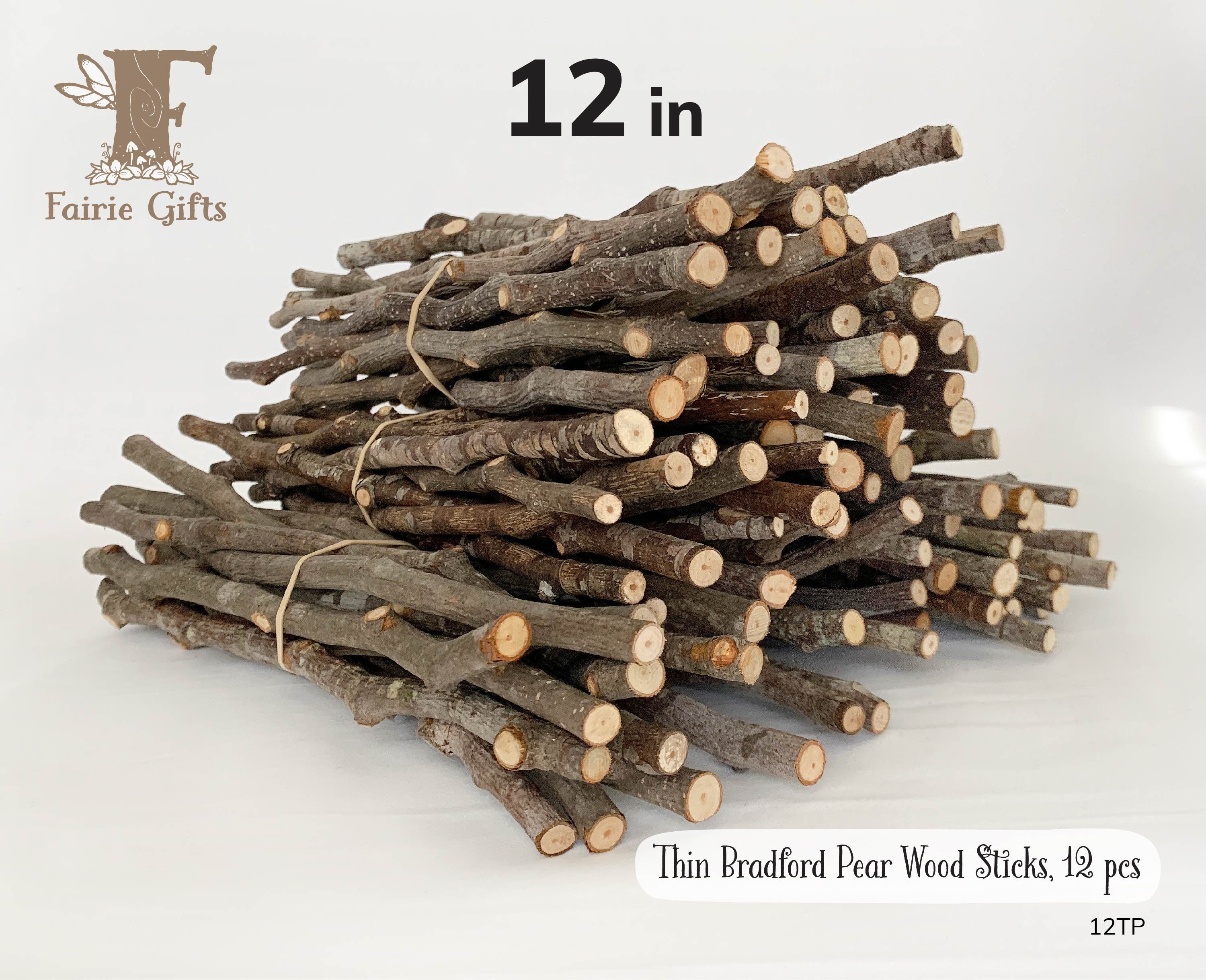 30 Birch Sticks. Wood Crafts. Wooden Sticks. Birch Wood Logs