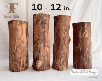 Weathered Wood Logs, Decay Tree Stump, Driftwood Log, Rustic Wooden Supply for Craft or Natural Decorations