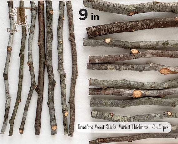 Wood Sticks 9 in, Bradford Branches 8-18 ct, Dried Wooden Sticks, Twig  Bundle, Rustic Sticks, Wood Supply, Craft Sticks Varied Thickness