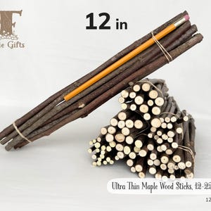 Ultra Thin Wood Sticks 12 in, Maple Wooden Sticks 12-22 ct, Twig Bundle, Craft Branches, Rustic Sticks, Dried Wooden Supply