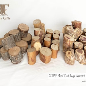 May include: A collection of assorted mini wood logs in various shades of brown, tan, and reddish-brown. The logs feature natural bark textures and smooth, cut circular tops. Text in the image reads Fairie Gifts and SCRAP Mini Wood Logs, Assorted Sets.