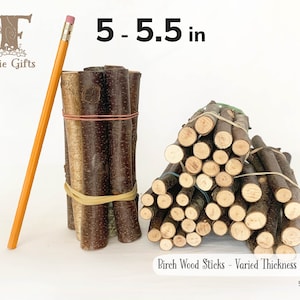 Wood Sticks 5 in, Red Birch Branches, Dried Wooden Sticks, Stem Supply, Varied Thickness Stick Bundles, Pumpkin Stick