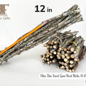 Ultra Thin Wood Sticks 12 in, Sweet Gum Branches 14-18 ct, Dried Wooden Sticks, Twig Bundle, Craft Branches, Rustic Sticks, Wooden Supply