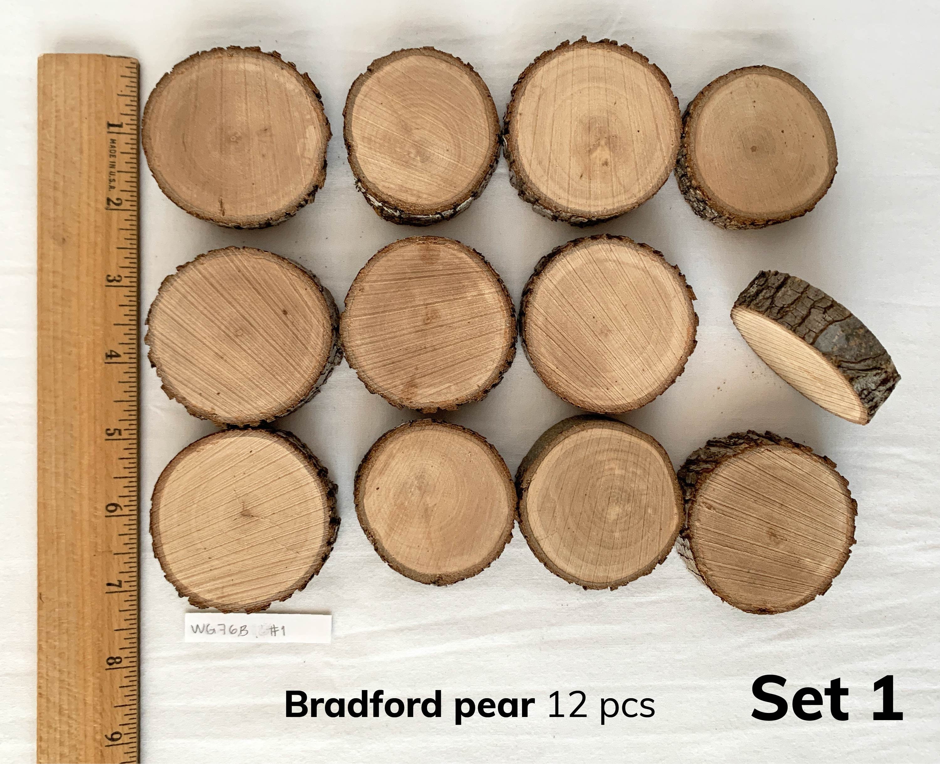 Tree Slices 12 Ct, Mini Wooden Circles 1.25 2.25 In, Small Wood Slices,  Bulk Wood Slices, Rustic Wooden Circles for Crafts 
