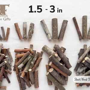 May include: A collection of natural brown wood sticks ranging from 1.5 to 3 inches in length. The image displays various groupings of small, cylindrical wooden branches with textured bark in shades of tan, gray, and dark brown, labeled Short Wood Sticks.
