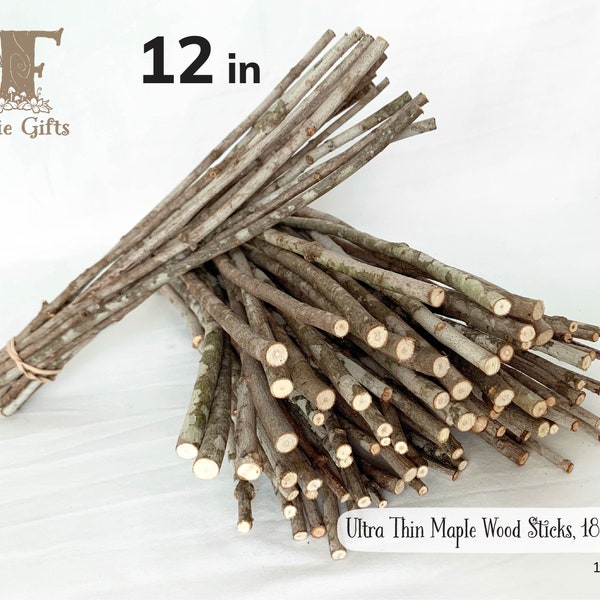 Ultra Thin Wood Sticks 12 in, Maple Wooden Sticks 14-18 ct, Twig Bundle, Craft Branches, Rustic Sticks, Dried Wooden Supply