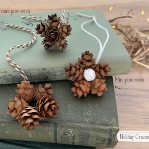 Mini Pine Cones, 25, 50, 100 ct., Hemlock Tree Pine Cones, Natural Craft, Rustic Ornament, Florist Supply image 7