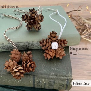 May include: A collection of tiny mini pine cone ornaments. The ornaments are brown and have white string for hanging. One ornament has a white glitter ball in the center. The text "Holiday Ornaments" is visible.
