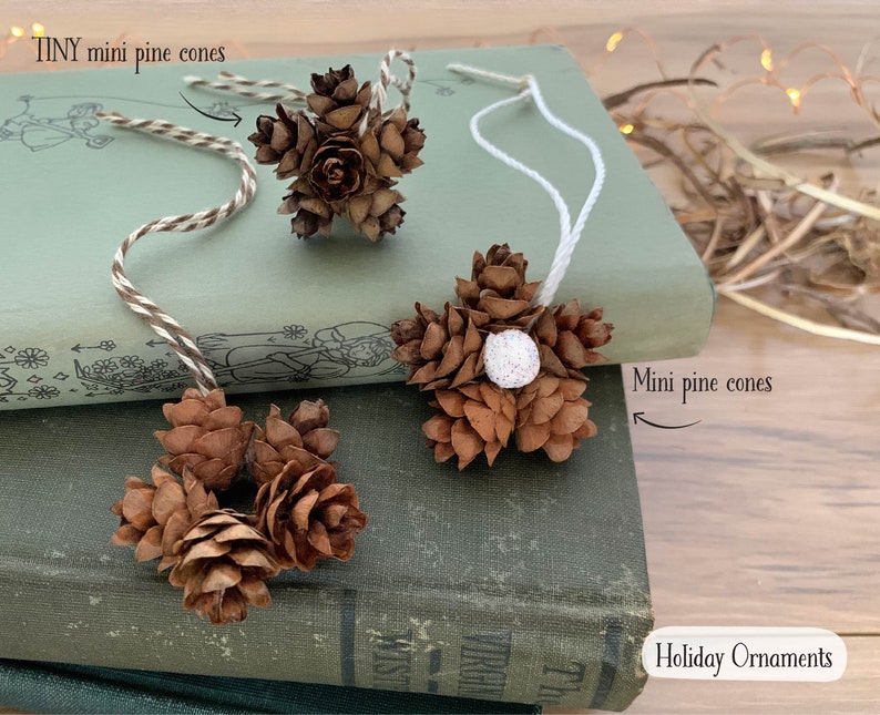 Mini Pine Cones, 25, 50, 100 ct., Hemlock Tree Pine Cones, Natural Craft, Rustic Ornament, Florist Supply image 7