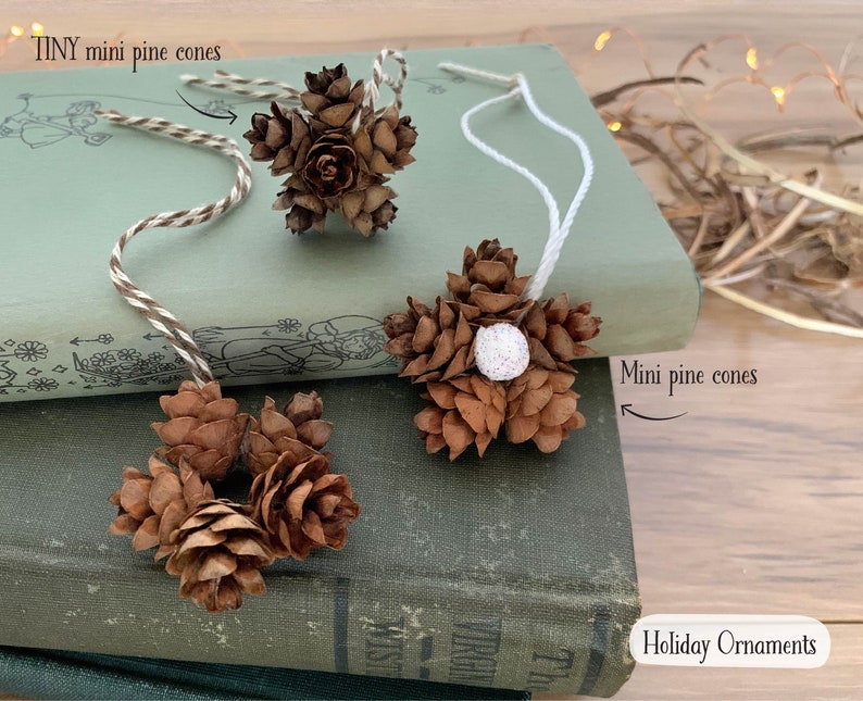 May include: A collection of tiny mini pine cone ornaments. The ornaments are brown and have white string for hanging. One ornament has a white glitter ball in the center. The text "Holiday Ornaments" is visible.