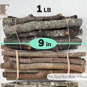 Wood Sticks 9 in One Pound, Wood Branches 1 lb, Assorted Wooden Sticks, Dried Sticks, Twig Bundle, Craft Branches, Rustic Wooden Supply