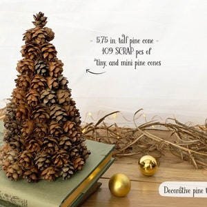 Mini Pine Cones, 25, 50, 100 ct., Hemlock Tree Pine Cones, Natural Craft, Rustic Ornament, Florist Supply image 8