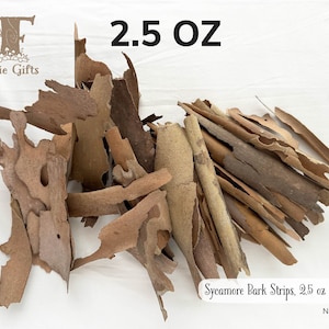 Sycamore Bark 2.5 oz, Natural Tree Bark, Curly Bark Pieces, Forest Craft, Rustic Decoration, Small Thin Bark Strips, Fairy House Supply