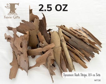 Sycamore Bark 2.5 oz, Natural Tree Bark, Curly Bark Pieces, Forest Craft, Rustic Decoration, Small Thin Bark Strips, Fairy House Supply